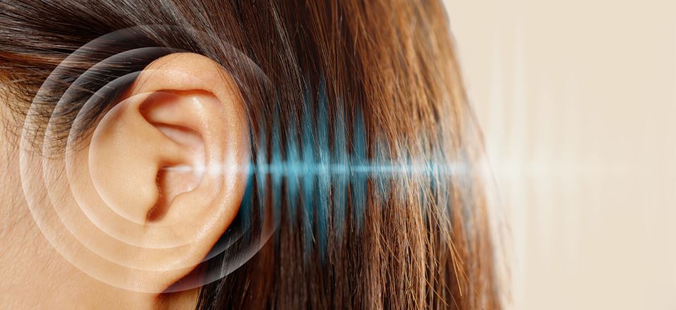 Ani İşitme Kaybı